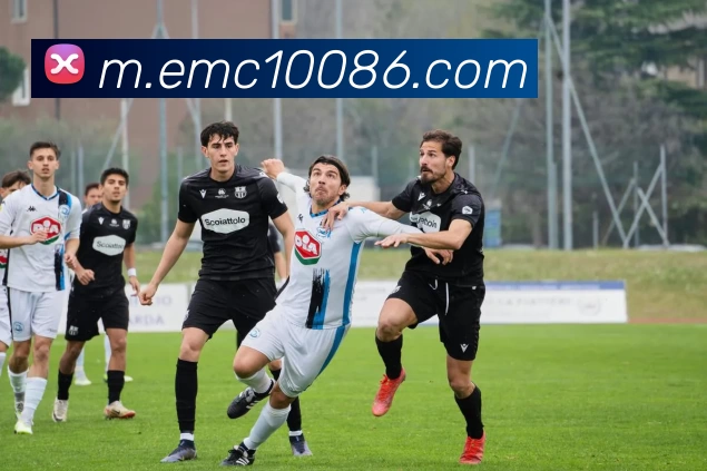 数据防护可视化